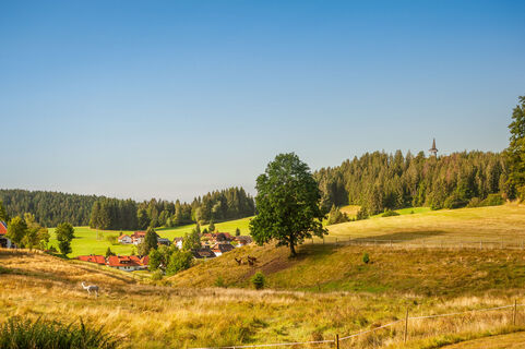 Engelschwand mit Gugelturm