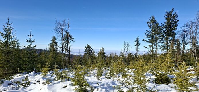 Fotografie z MIROB na trase