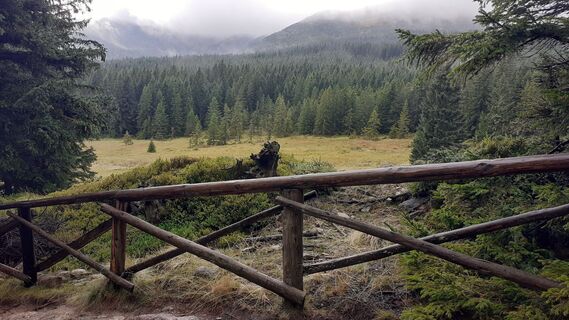 Photo de Zd L le long du parcours