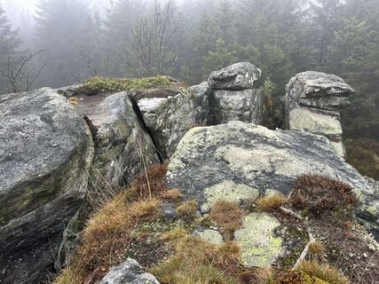 Foto van Norbert Herbig langs de tour