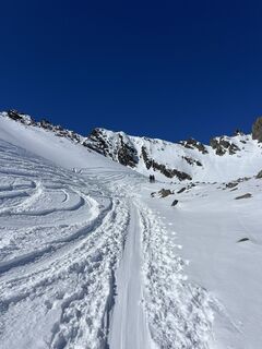 Foto de Heikoala a lo largo del recorrido