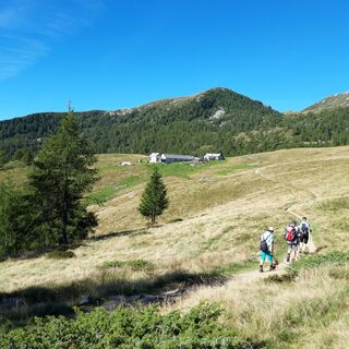 Alpe Salei