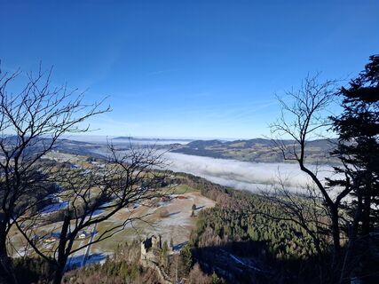 Foto von Günther Forsthuber entlang der Tour