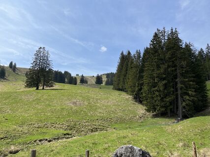 Foto von Heinz Sperl entlang der Tour