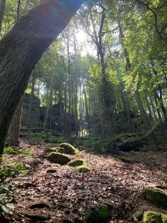 Foto von Guido Vandenbruwaene entlang der Tour