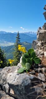 Photo de Thomas Reiner le long du parcours