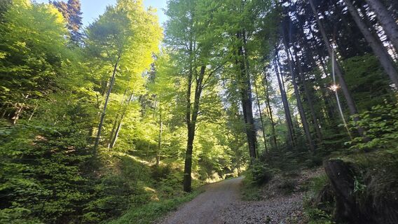 Fotografie z Atya1256 na trase