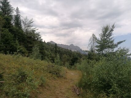 Foto de Turbinio a lo largo del recorrido