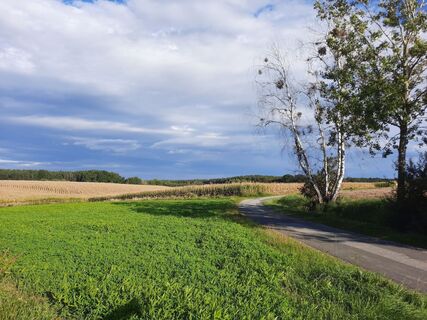 Landschaft