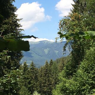 Ausblick vom "Alten Gaisbergweg"