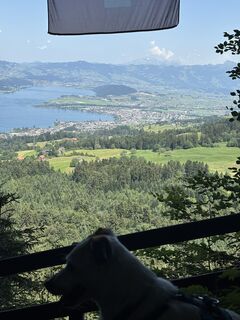 Foto von Sergio Baselgia entlang der Tour
