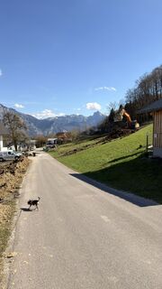 Fotografija s spletne strani Viktoria na poti