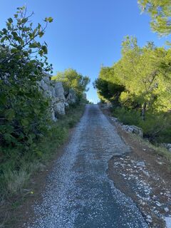 Photo de Anna Schwinger le long du parcours