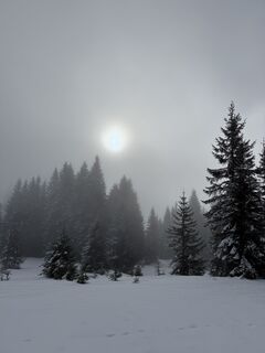 Foto de Franz hofner a lo largo del recorrido