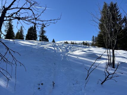 Foto von Moritz Kitzmüller entlang der Tour