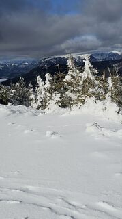 Fotografia z Paula Heichinger na trase