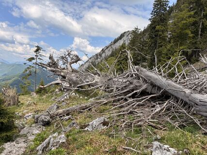 Photo de Natur_erleben_dg le long du parcours