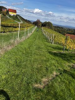 Foto von Gerhard Mizelli entlang der Tour
