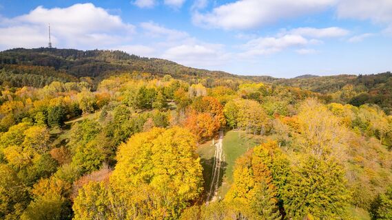 Liliental_Herbst_Chris_Eltjes_2022-10 (7)_web