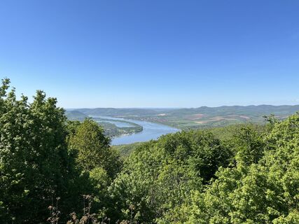 Fotografia z Tamás Bukovszki na trase