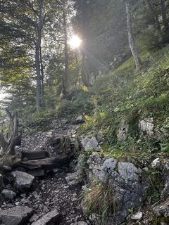 Fotografie de la Daniel Punz de-a lungul turului
