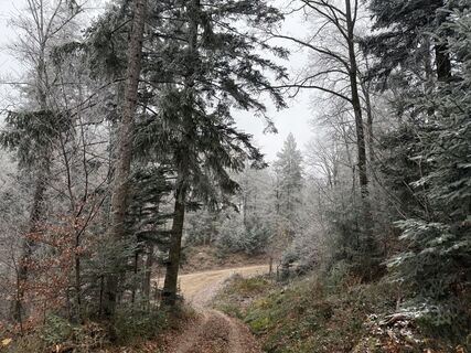 Fotografia z InesW na trase