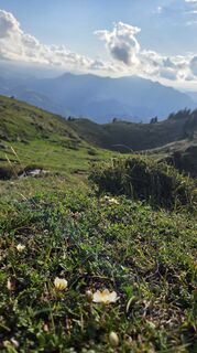 Foto von Klementina Gartner entlang der Tour
