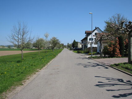 Ortseingang Wiesholz