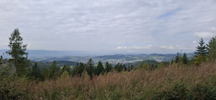 Foto von Karin-Wandert entlang der Tour