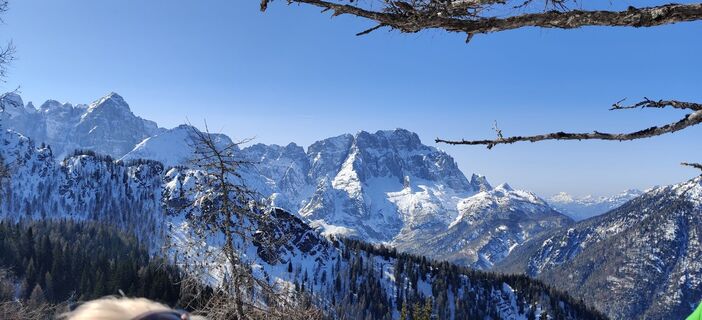 Fotografija s spletne strani Andrea Flechl na poti