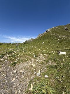 Fotografia z Marianne Grobner na trase