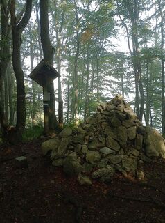 Foto da Berni lungo il tour
