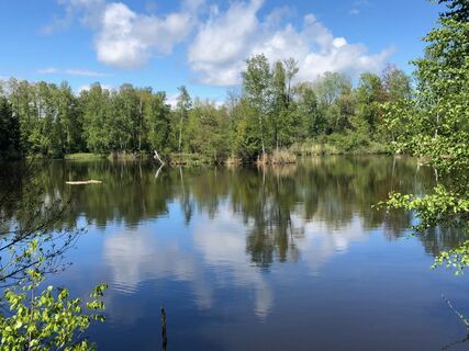 Tour Moorseen See