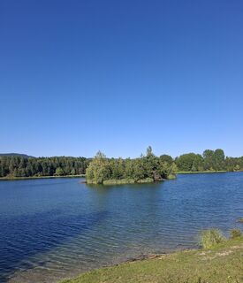 Foto von Mangolein entlang der Tour