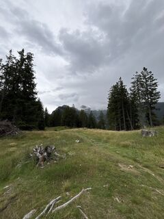 Fotografija s spletne strani Marc März na poti