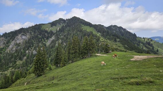 Photo de Christian Thomas le long du parcours