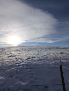 Foto von Susan Deffner entlang der Tour