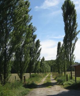 Königliche Routen im Park von Stupinigi
