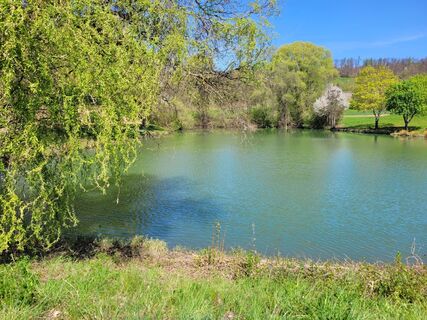 Eberstadt_Hölzerner See (2)_web