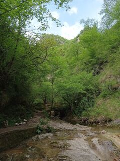 Foto de Aner a lo largo del recorrido