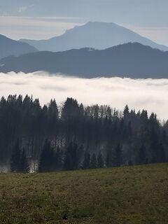 Nebelbilder - Ötscher im Hintergrund