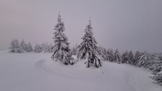 Foto de Dávid Mjartan a lo largo del recorrido
