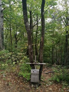 Fotografia z Sonce.S na trase