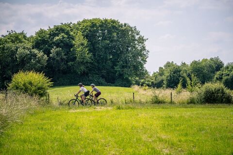 Wiesenlandschaft bei Hahn-Vennwegen