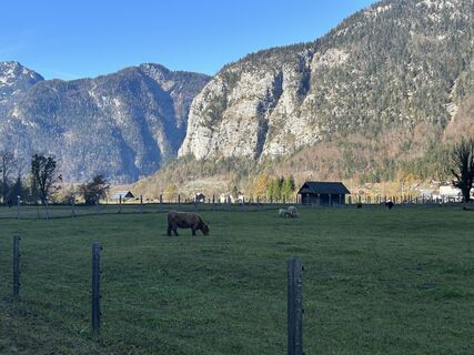 Foto von Car Wanderfreude entlang der Tour