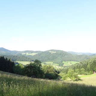 Fischerbacher Panorama