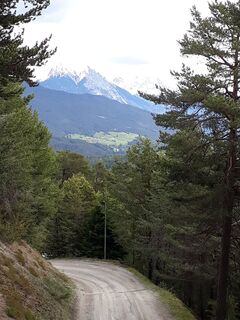 Ausblick