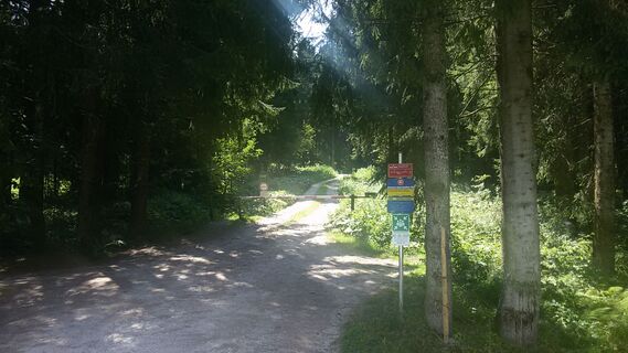 Griessener Almen Runde - am Schranken vorbei