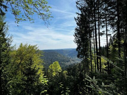 Aussicht von der Aussichtsplattform Zollernblick