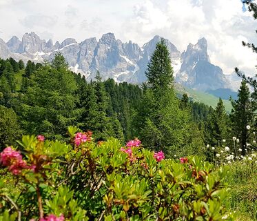Pale di San Martino